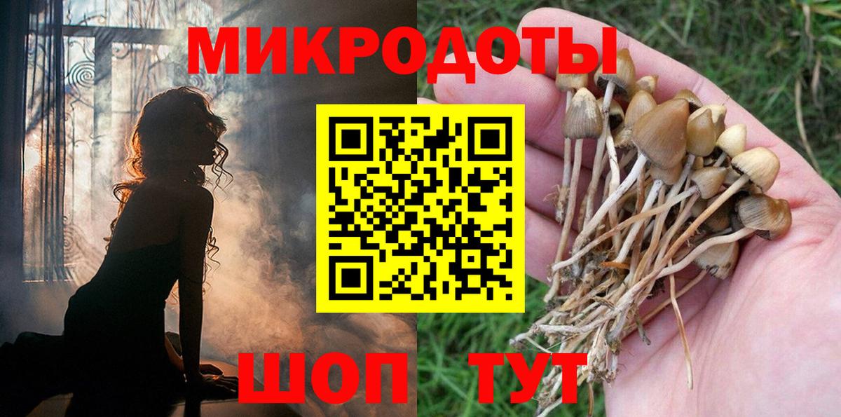 Псилоцибиновые грибы Magic Shrooms Нижний Тагил